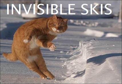 invisibleskis