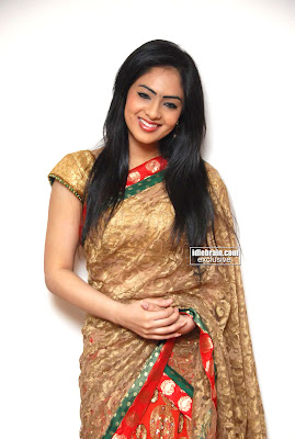 Actress Beautiful Nikisha Patel Pictures Traditional Saree