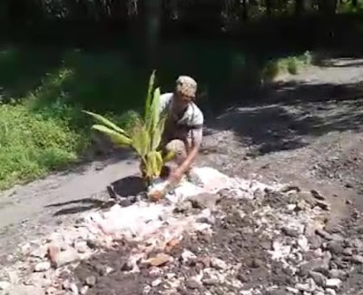 Warga Desa Margamukti menanam pohon pisang di jalan berlubang sebagai protes belum diperbaikinya jalur menuju desa mereka, Sabtu (11/03)