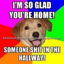 Dog - I'm so glad you're home! Someone shit in the hallway!