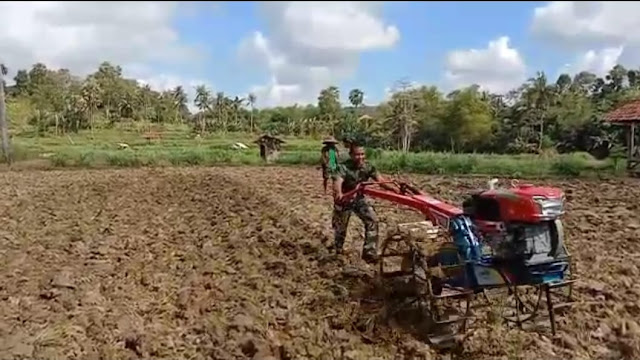 Babinsa Posramil 0826-12 Kadur Bantu Warga Binaan Bajak Sawah