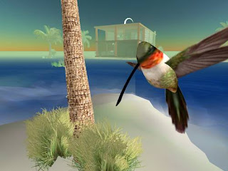 second life animals - hummingbird