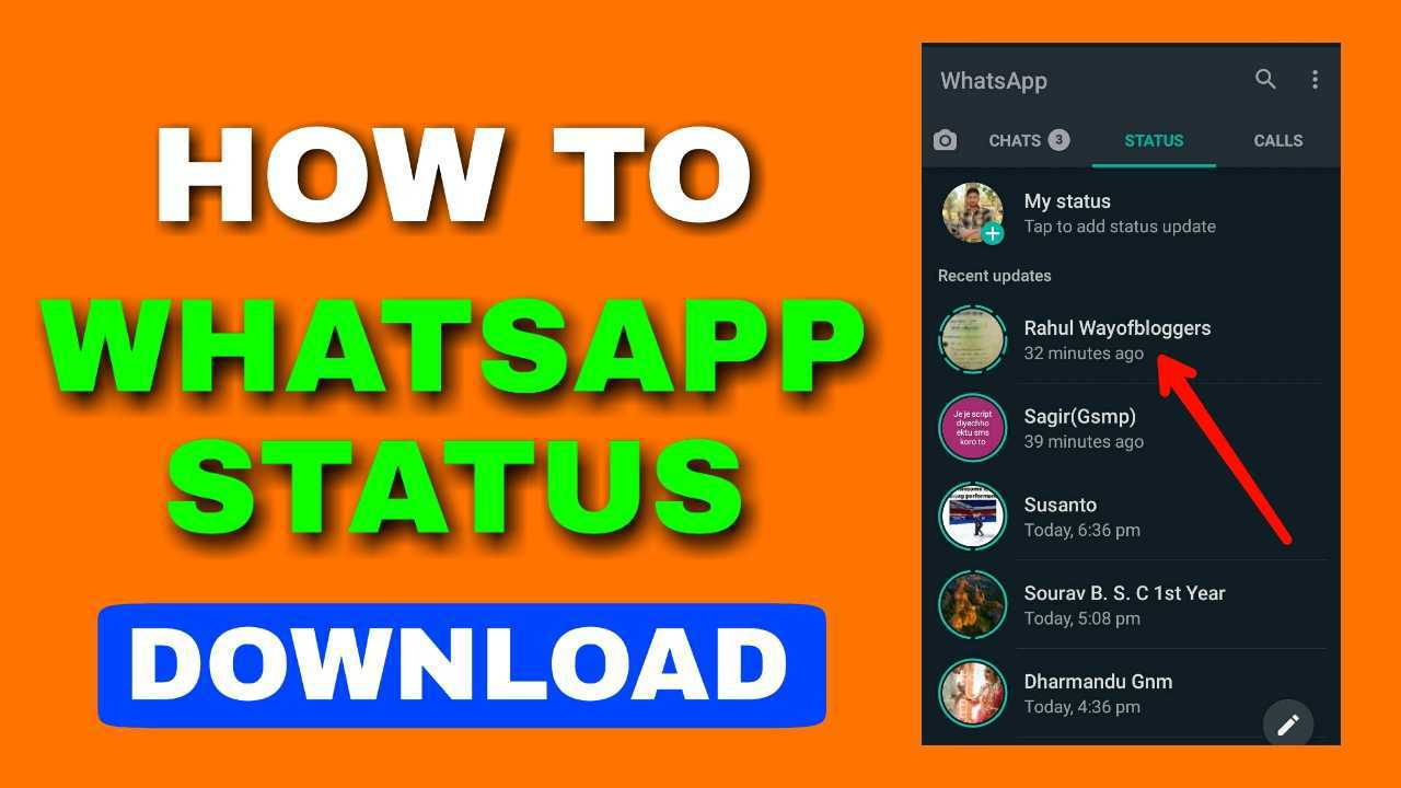 whatsapp status download, how to download whatsapp status, whatsapp status,