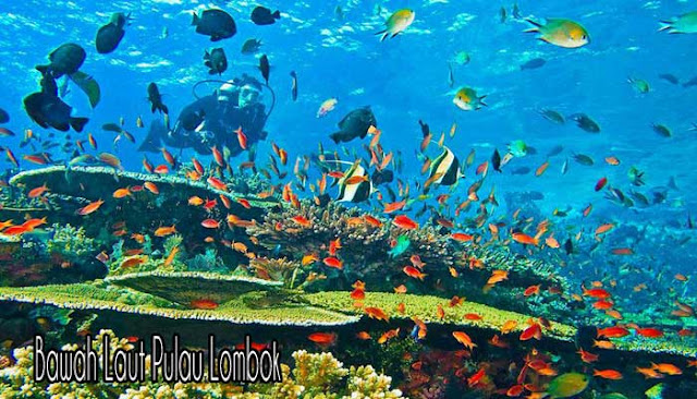 Pulau Lombok, Destinasi Wisata Terbaik Di Indonesia 