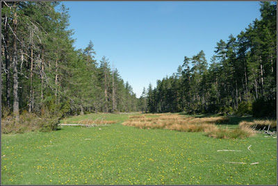 Valle Del Chispo (Cuenca)