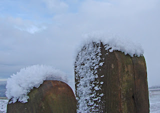 Gate posts covered with snow