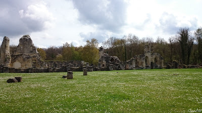 Ruines de l'Abbaye de Vauclerc