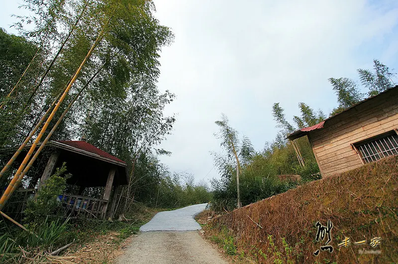 奮起湖石棹景點｜龍雲休閒農場森林步道｜鐵達尼石 五彩石