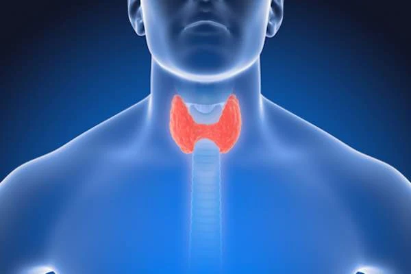 basic treatment for hypothyroidism