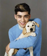 1. Namanya dia adalah Zain Jawaad Malik 2. Lebih suka dipanggil Zayn (zayn malik cute factor dog puppy wonderland )