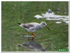20120430_155810_080_Hualien