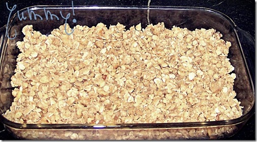 apple crisp11