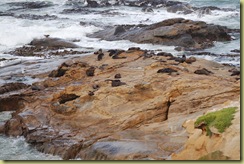 Seal 3