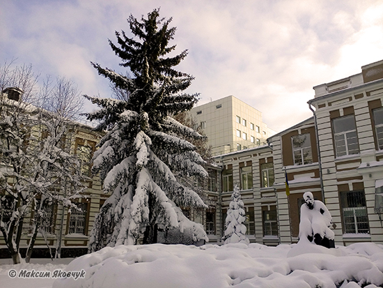 Фотограф Максим Яковчук: Вулиця Миколи Амосова. Київ