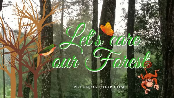 Jaga Hutan untuk Hidup Lebih Baik