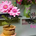 Tutorial colección de macetas con flor de "Gerbera "a crochet