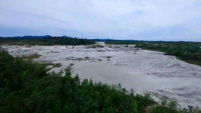 Padang Pasir Putih di Danau Belibis Sanggau