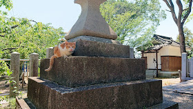 大阪 猫神社 上宮天満宮 天神桃太郎