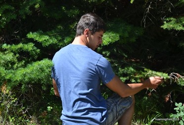 Looking "under a tree"