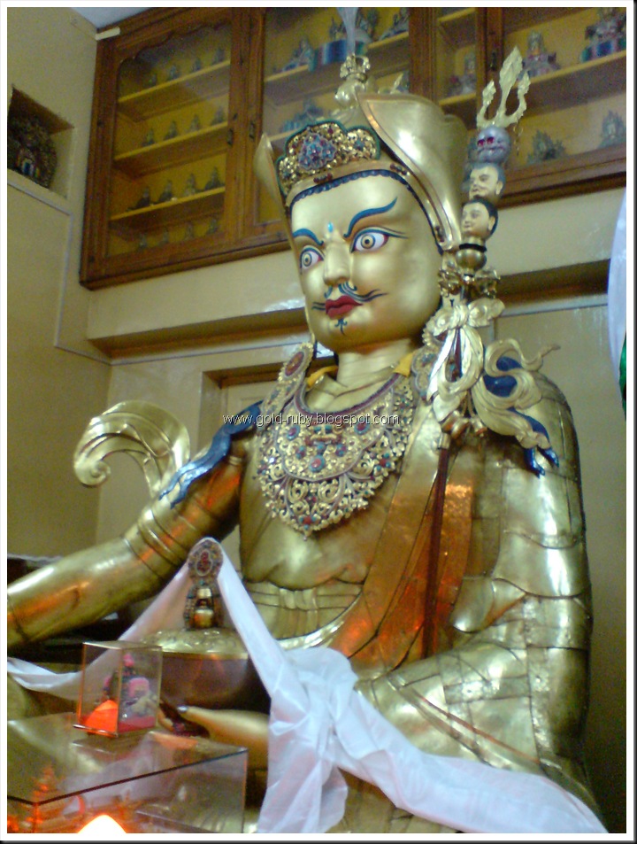 DSC02008