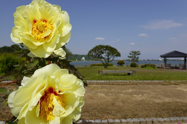 鳥取県東伯郡湯梨浜町引地 中国庭園 燕趙園