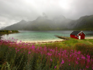 Flowers And Lake wallpaper