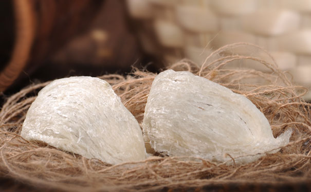 The evaluation of Bird’s Saliva Soup Extract Reduced Influenza A virus Induced Apoptosis on Cultured Cells in vitro study