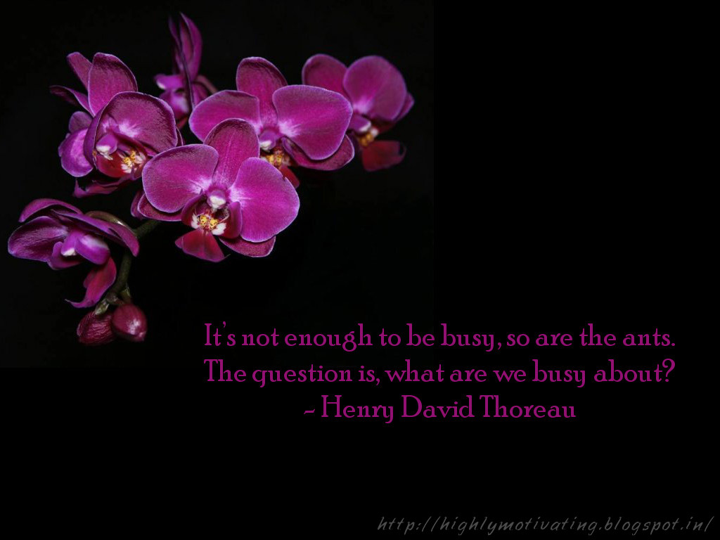 Inspiration and Motivation: Henry David Thoreau Quote Wallpaper