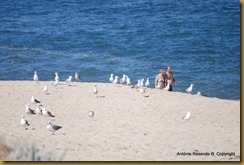 04-DSC_0970