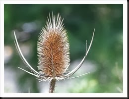 DSCN3044