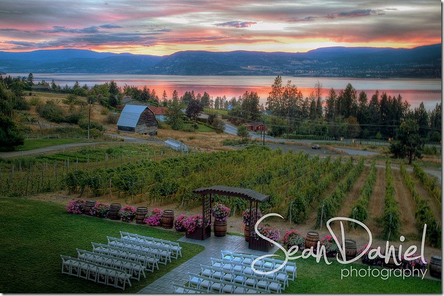 Winery Wedding at Sunset