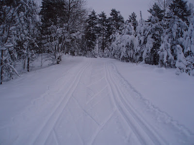 Sisseaetud suusarada Rutka oosil detsembris 2010. Lund on väga palju.