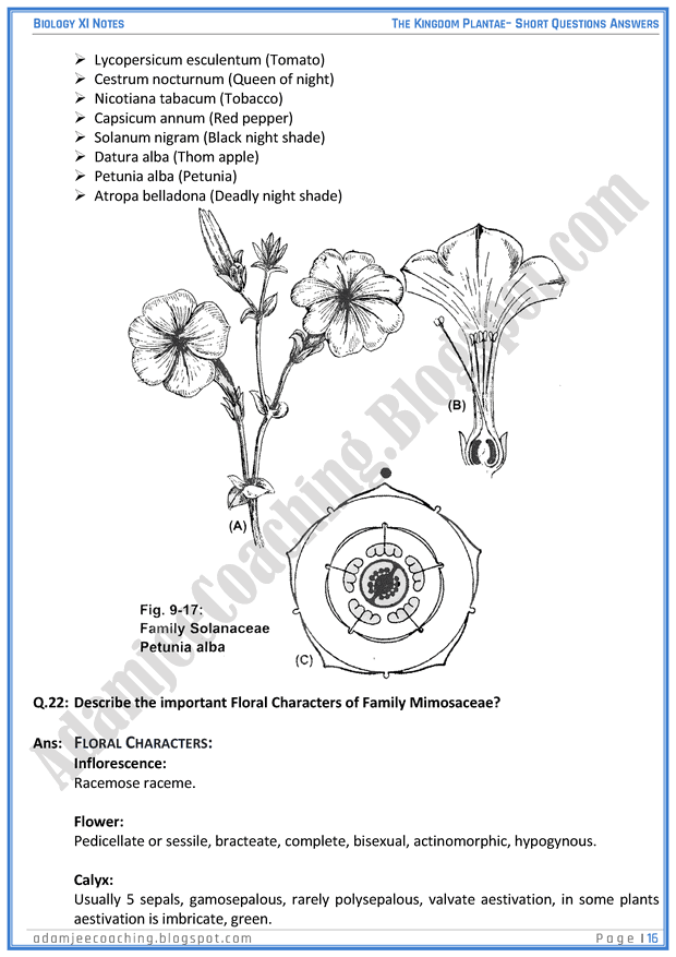 kingdom-plantae-short-question-answers-biology-11th