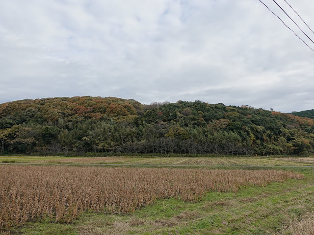 つぼかめ山