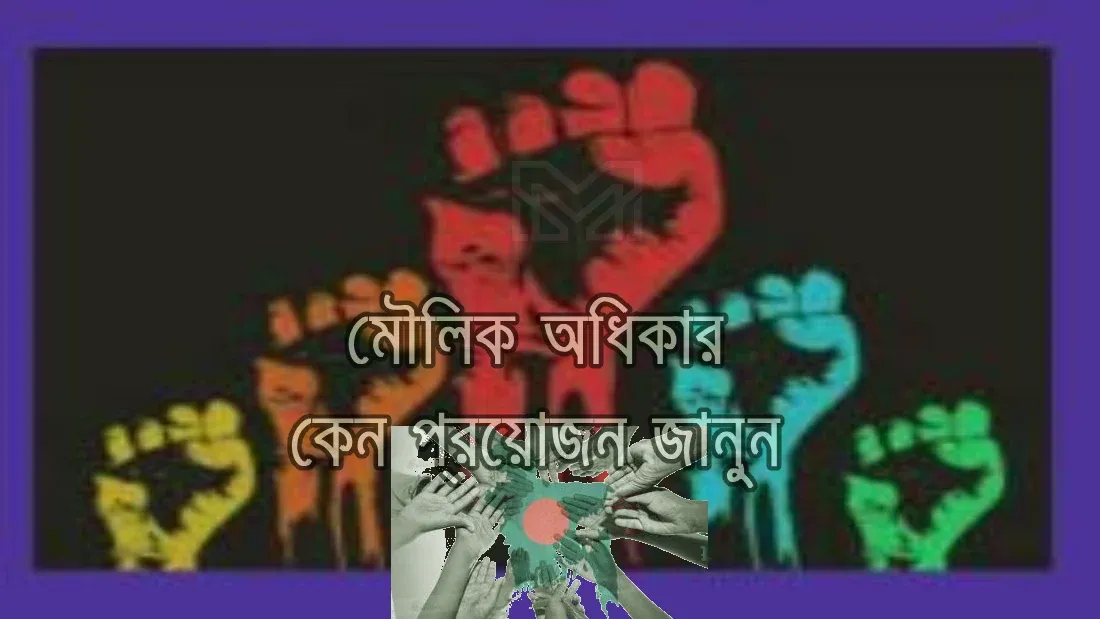 মৌলিক অধিকার কেন প্রয়োজন