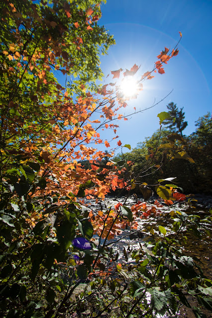 Foliage-Kancamagus Hwy e White mountains