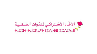 الإستِعاضَة التِّقْنِيَّة: مشروع “ولاد الشعب” من أجل تَطْوِيرِ حزب الإتحاد الإشتراكي.