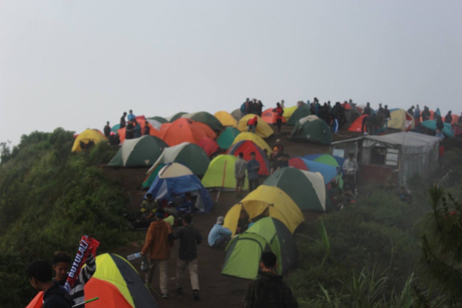 8 Fakta  dan  Misteri Gunung  Andong  Magelang Jawa Tengah 