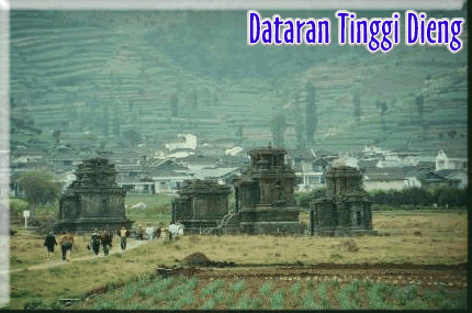  My Info Pegunungan Dieng 