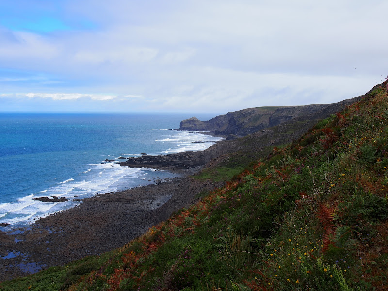 View from Buckator 