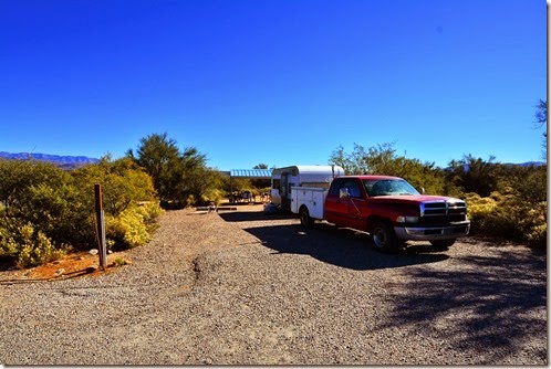 Cholla_020