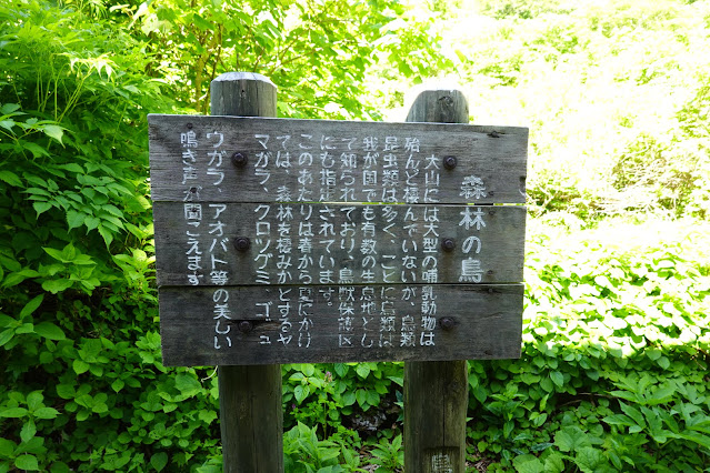 鳥取県西伯郡大山町大山　大休峠避難小屋