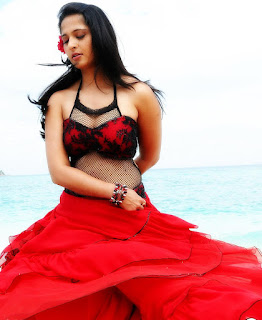 Anushka, anushka shetty, sweety shetty,tamil actress, telugu actress, actress hot,actress images