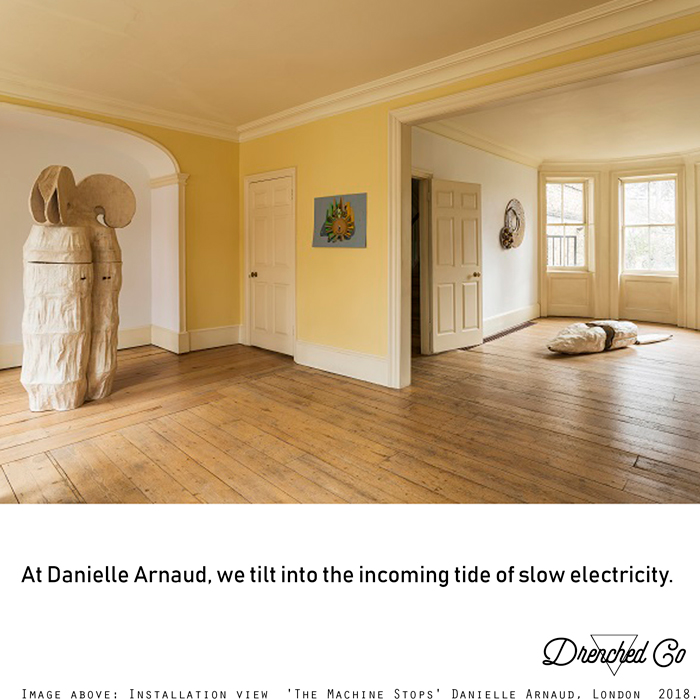 Image of Danielle Arnaud, London with art exhibition review by Drenched Co.