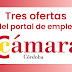 Tres ofertas de empleo publicadas en CámaraEmplea Córdoba