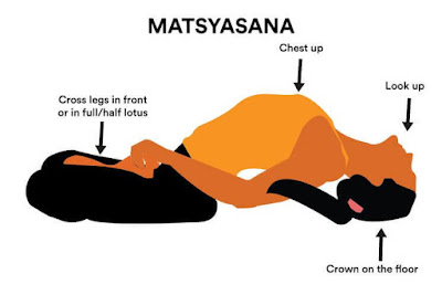 Matsyasana (Fish Pose)