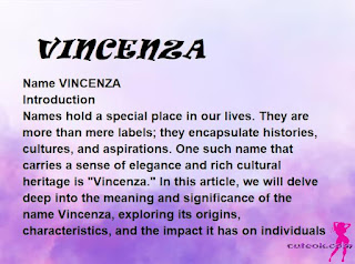 meaning of the name VINCENZA