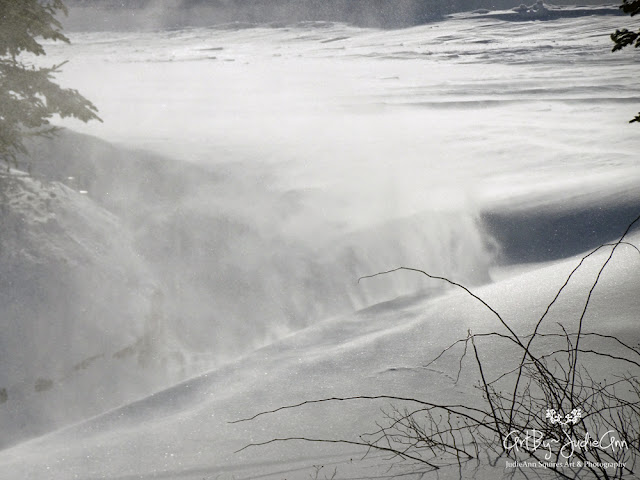 Newfoundland Snow Storm