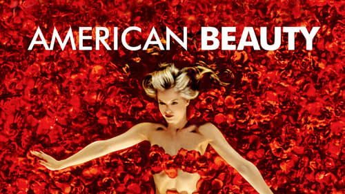 American Beauty 1999 dvdrip