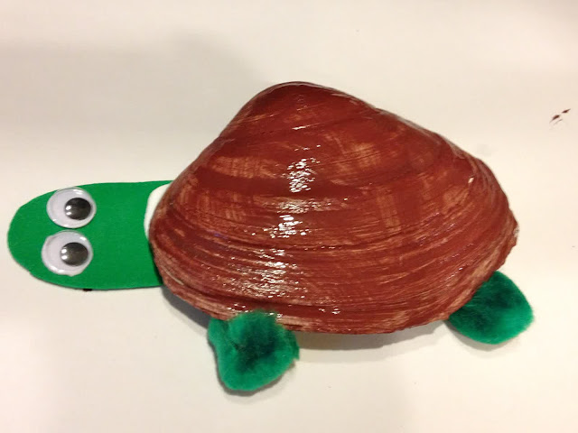 shell animal creatures craft for kids